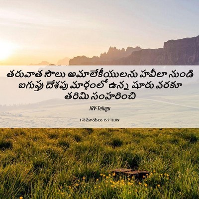 Picture 06 - 1 సమూయేలు 15:7 TELIRV - తరువాత సౌలు - Bible Verse Picture