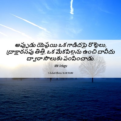 Picture 06 - 1 సమూయేలు 16:20 TELIRV - అప్పుడు యెష్షయి - Bible Verse Picture