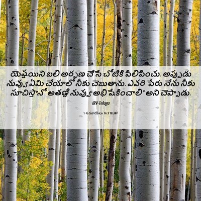 Picture 06 - 1 సమూయేలు 16:3 TELIRV - యెష్షయిని బలి - Bible Verse Picture