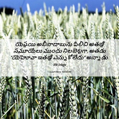 Picture 06 - 1 సమూయేలు 16:8 TELIRV - యెష్షయి - Bible Verse Picture