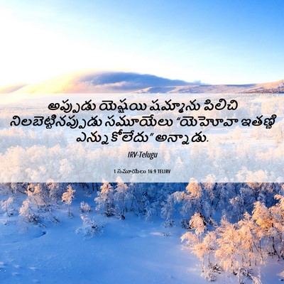 Picture 06 - 1 సమూయేలు 16:9 TELIRV - అప్పుడు యెష్షయి - Bible Verse Picture