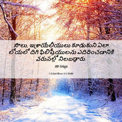 Picture 06 - 1 సమూయేలు 17:2 TELIRV - సౌలు, - Bible Verse Picture