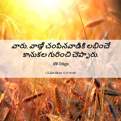Picture 06 - 1 సమూయేలు 17:27 TELIRV - వారు, వాణ్ణి - Bible Verse Picture