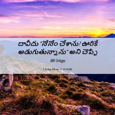 Picture 06 - 1 సమూయేలు 17:29 TELIRV - దావీదు “నేనేం - Bible Verse Picture