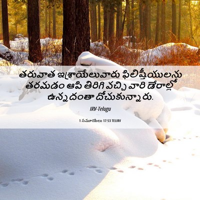 Picture 06 - 1 సమూయేలు 17:53 TELIRV - తరువాత - Bible Verse Picture