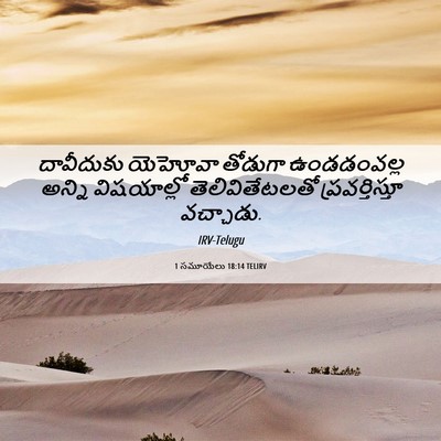 Picture 06 - 1 సమూయేలు 18:14 TELIRV - దావీదుకు యెహోవా - Bible Verse Picture