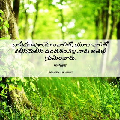 Picture 06 - 1 సమూయేలు 18:16 TELIRV - దావీదు - Bible Verse Picture
