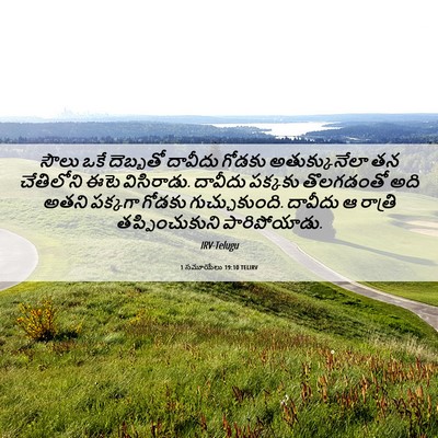 Picture 06 - 1 సమూయేలు 19:10 TELIRV - సౌలు ఒకే దెబ్బతో - Bible Verse Picture