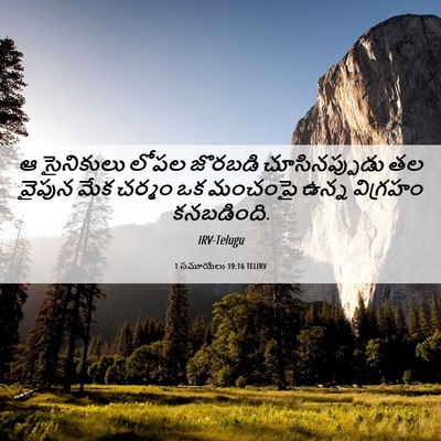 Picture 06 - 1 సమూయేలు 19:16 TELIRV - ఆ సైనికులు లోపల - Bible Verse Picture