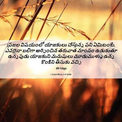 Picture 06 - 1 సమూయేలు 2:13 TELIRV - ప్రజల విషయంలో - Bible Verse Picture