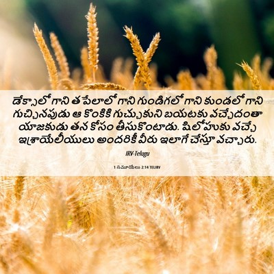 Picture 06 - 1 సమూయేలు 2:14 TELIRV - డేక్సాలో గాని - Bible Verse Picture