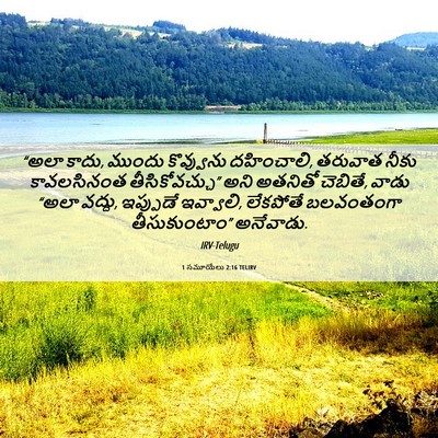 Picture 06 - 1 సమూయేలు 2:16 TELIRV - “అలా కాదు, ముందు - Bible Verse Picture