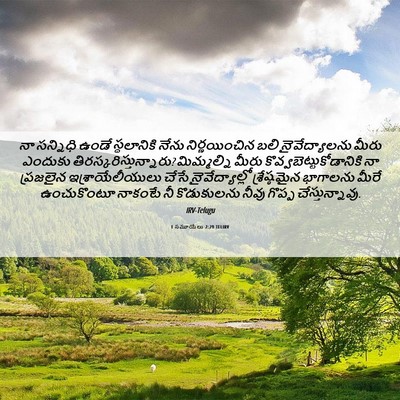 Picture 06 - 1 సమూయేలు 2:29 TELIRV - నా సన్నిధి ఉండే - Bible Verse Picture