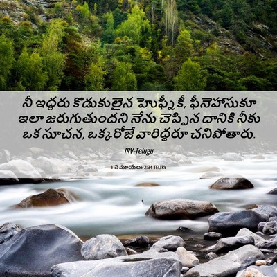 Picture 06 - 1 సమూయేలు 2:34 TELIRV - నీ ఇద్దరు - Bible Verse Picture