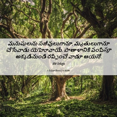 Picture 06 - 1 సమూయేలు 2:6 TELIRV - మనుషులను - Bible Verse Picture