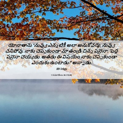 Picture 06 - 1 సమూయేలు 20:2 TELIRV - యోనాతాను “నువ్వు - Bible Verse Picture