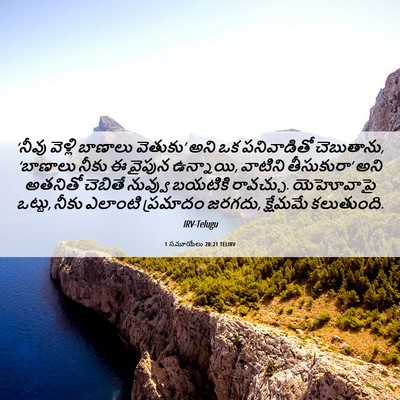 Picture 06 - 1 సమూయేలు 20:21 TELIRV - ‘నీవు వెళ్లి - Bible Verse Picture