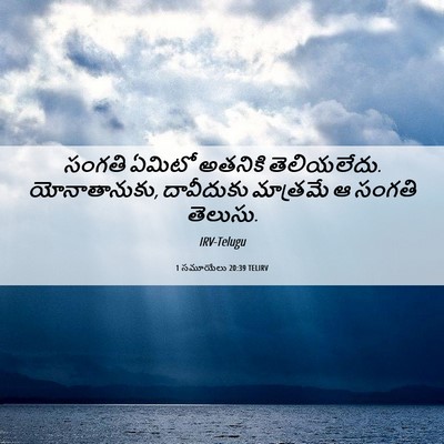 Picture 06 - 1 సమూయేలు 20:39 TELIRV - సంగతి ఏమిటో - Bible Verse Picture
