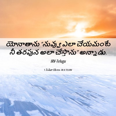Picture 06 - 1 సమూయేలు 20:4 TELIRV - యోనాతాను “నువ్వు - Bible Verse Picture