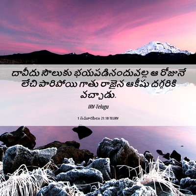 Picture 06 - 1 సమూయేలు 21:10 TELIRV - దావీదు సౌలుకు - Bible Verse Picture