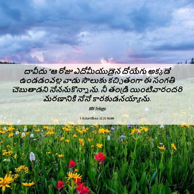 Picture 06 - 1 సమూయేలు 22:22 TELIRV - దావీదు “ఆ రోజు - Bible Verse Picture