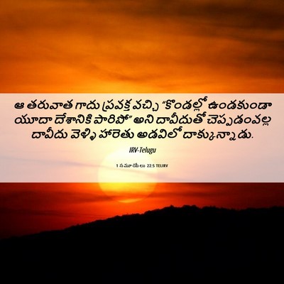 Picture 06 - 1 సమూయేలు 22:5 TELIRV - ఆ తరువాత గాదు - Bible Verse Picture