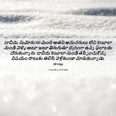 Picture 06 - 1 సమూయేలు 23:13 TELIRV - దావీదు, సుమారు 600 - Bible Verse Picture