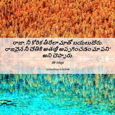Picture 06 - 1 సమూయేలు 23:20 TELIRV - రాజా, నీ కోరిక - Bible Verse Picture