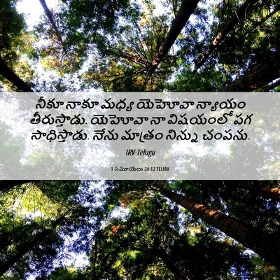 Picture 06 - 1 సమూయేలు 24:12 TELIRV - నీకూ నాకూ మధ్య - Bible Verse Picture