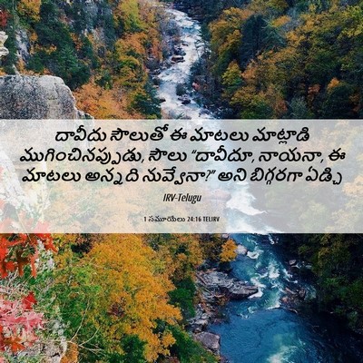 Picture 06 - 1 సమూయేలు 24:16 TELIRV - దావీదు సౌలుతో ఈ - Bible Verse Picture