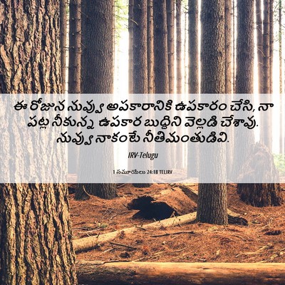 Picture 06 - 1 సమూయేలు 24:18 TELIRV - ఈ రోజున నువ్వు - Bible Verse Picture