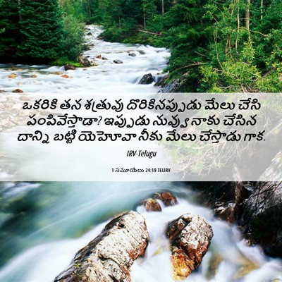 Picture 06 - 1 సమూయేలు 24:19 TELIRV - ఒకరికి తన శత్రువు - Bible Verse Picture