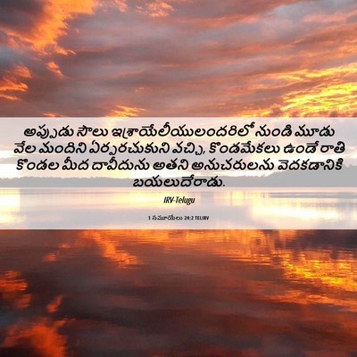 Picture 06 - 1 సమూయేలు 24:2 TELIRV - అప్పుడు సౌలు - Bible Verse Picture