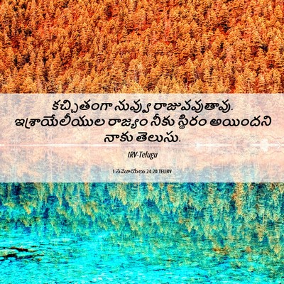 Picture 06 - 1 సమూయేలు 24:20 TELIRV - కచ్చితంగా నువ్వు - Bible Verse Picture
