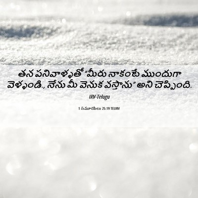 Picture 06 - 1 సమూయేలు 25:19 TELIRV - తన పనివాళ్ళతో - Bible Verse Picture