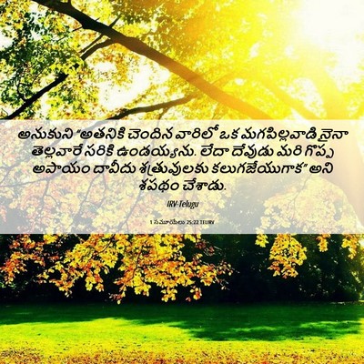 Picture 06 - 1 సమూయేలు 25:22 TELIRV - అనుకుని “అతనికి - Bible Verse Picture