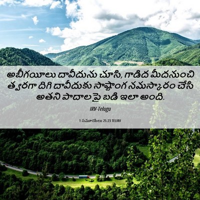 Picture 06 - 1 సమూయేలు 25:23 TELIRV - అబీగయీలు దావీదును - Bible Verse Picture