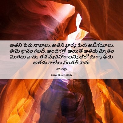 Picture 06 - 1 సమూయేలు 25:3 TELIRV - అతని పేరు నాబాలు, - Bible Verse Picture