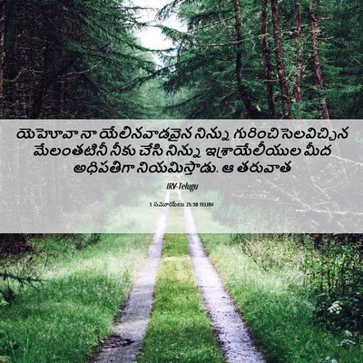 Picture 06 - 1 సమూయేలు 25:30 TELIRV - యెహోవా నా - Bible Verse Picture
