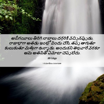 Picture 06 - 1 సమూయేలు 25:36 TELIRV - అబీగయీలు తిరిగి - Bible Verse Picture