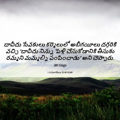 Picture 06 - 1 సమూయేలు 25:40 TELIRV - దావీదు సేవకులు - Bible Verse Picture