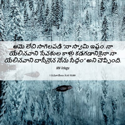 Picture 06 - 1 సమూయేలు 25:41 TELIRV - ఆమె లేచి సాగిలపడి - Bible Verse Picture