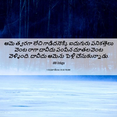 Picture 06 - 1 సమూయేలు 25:42 TELIRV - ఆమె త్వరగా లేచి - Bible Verse Picture