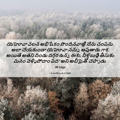 Picture 06 - 1 సమూయేలు 26:11 TELIRV - యెహోవా వలన - Bible Verse Picture