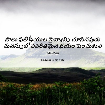 Picture 06 - 1 సమూయేలు 28:5 TELIRV - సౌలు ఫిలిష్తీయుల - Bible Verse Picture
