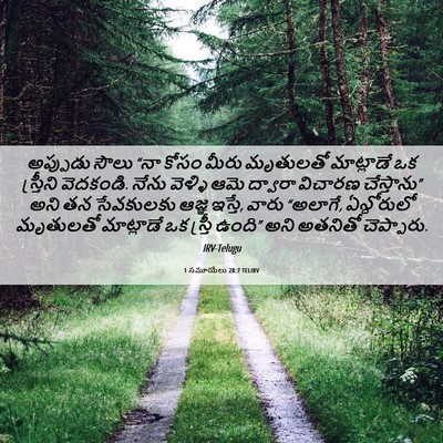 Picture 06 - 1 సమూయేలు 28:7 TELIRV - అప్పుడు సౌలు “నా - Bible Verse Picture