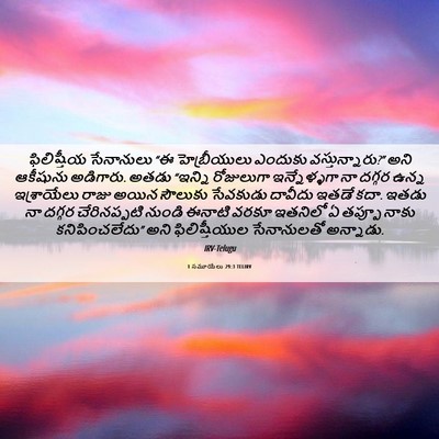 Picture 06 - 1 సమూయేలు 29:3 TELIRV - ఫిలిష్తీయ - Bible Verse Picture