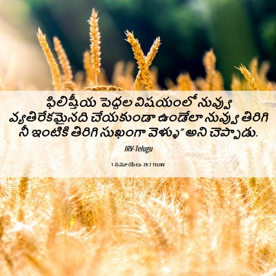 Picture 06 - 1 సమూయేలు 29:7 TELIRV - ఫిలిష్తీయ పెద్దల - Bible Verse Picture