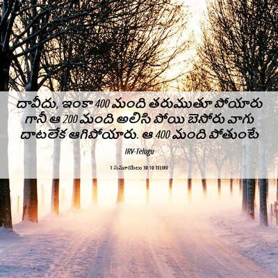 Picture 06 - 1 సమూయేలు 30:10 TELIRV - దావీదు, ఇంకా 400 మంది - Bible Verse Picture