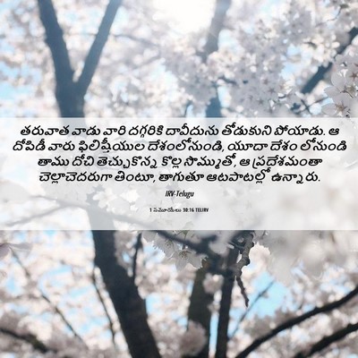 Picture 06 - 1 సమూయేలు 30:16 TELIRV - తరువాత వాడు వారి - Bible Verse Picture
